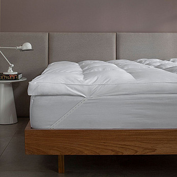 Pillow Top Vision Fill Gold Hotel Buddemeyer